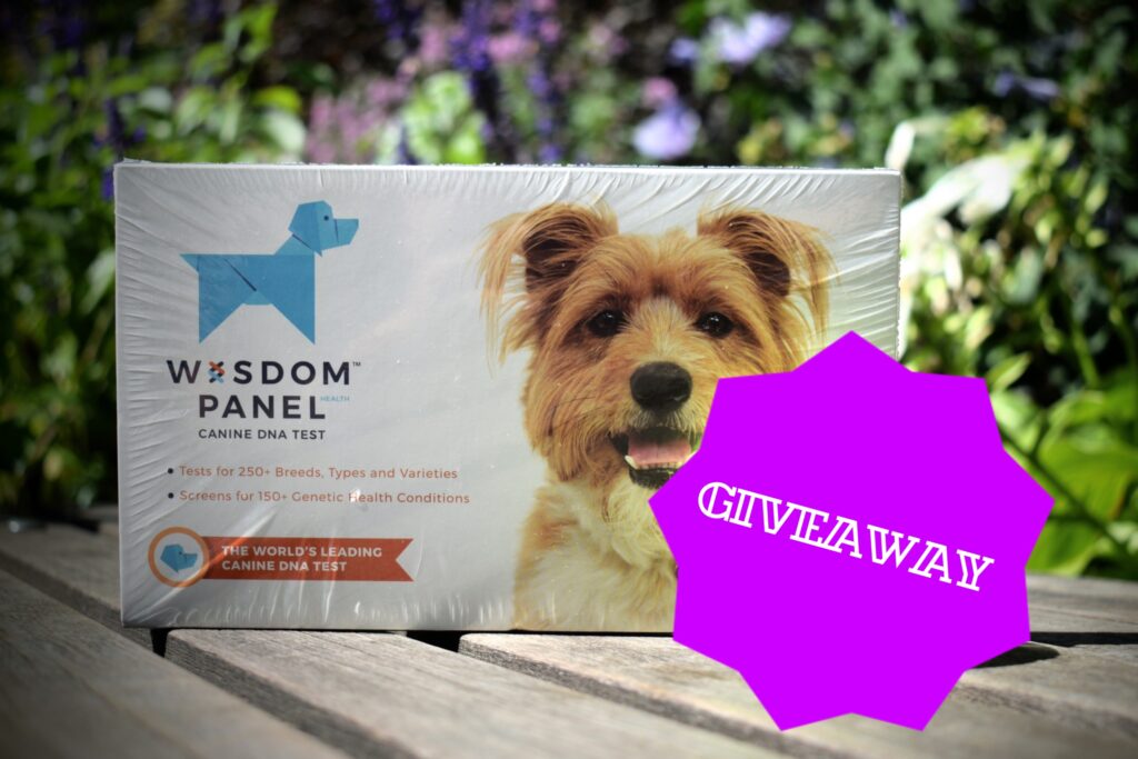 #TestTheMixContest: Win a Wisdom Panel Canine Health DNA Test